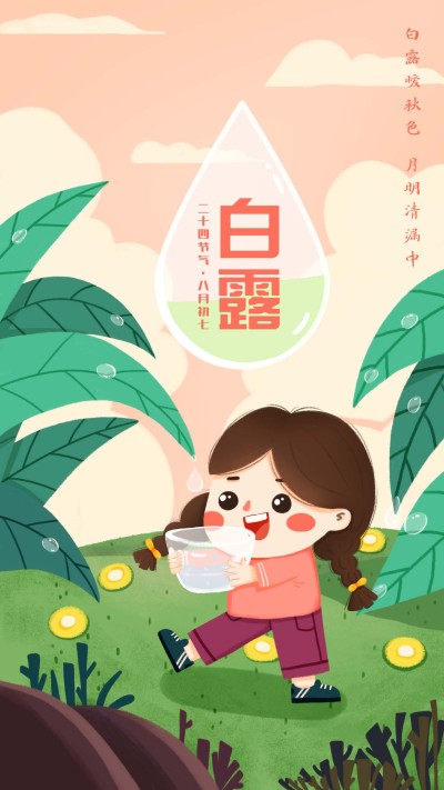 白露手绘节气手机海报