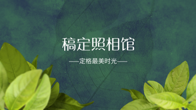 清爽绿叶相片展示