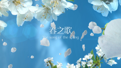 春风明媚花朵展示