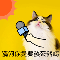 升温热夏天晒猫咪宠物GIF动图表情包