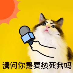 升温热夏天晒猫咪宠物GIF动图表情包预览效果