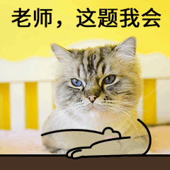 上课学生交友考试做题举手猫咪宠物GIF动图表情包预览效果