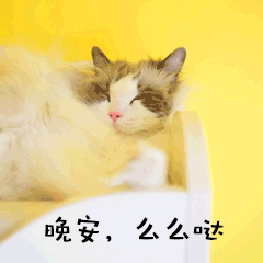 晚安么么哒萌宠猫GIF动图表情包预览效果