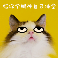 翻白眼无语冷漠猫咪宠物GIF萌宠表情包预览效果