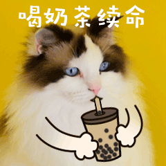 喝奶茶开心饮料下午茶猫咪宠物GIF动图萌宠表情包