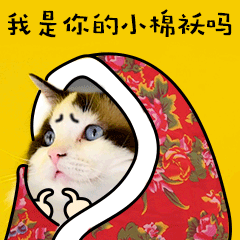 撒娇可怜社交猫咪萌宠GIF动图表情包预览效果