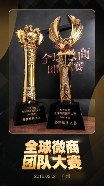 全球微商团队大赛表彰预览效果