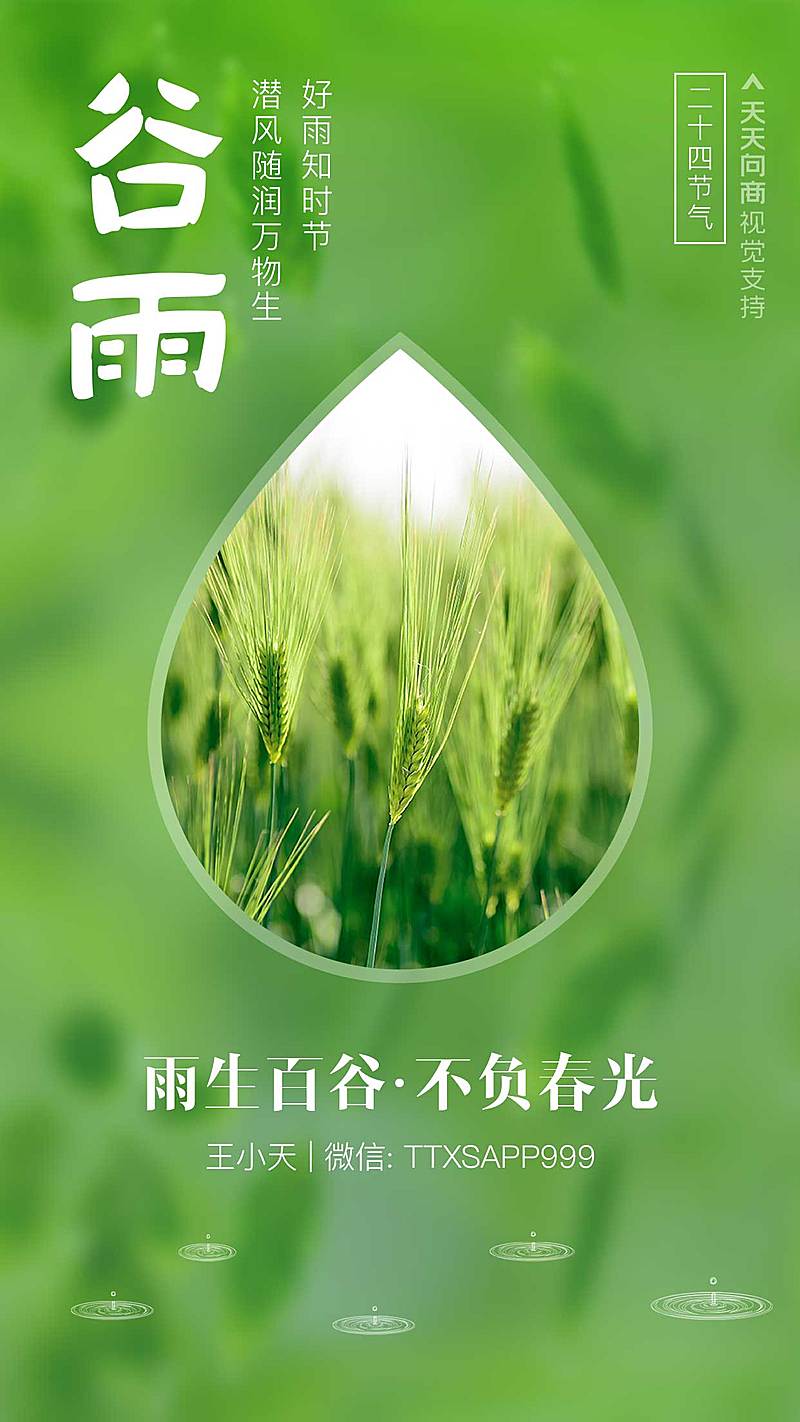 二十四节气文艺清新海报