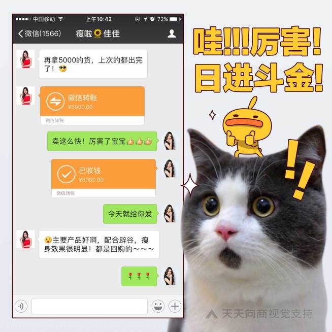 萌宠猫咪花式晒单方形海报预览效果