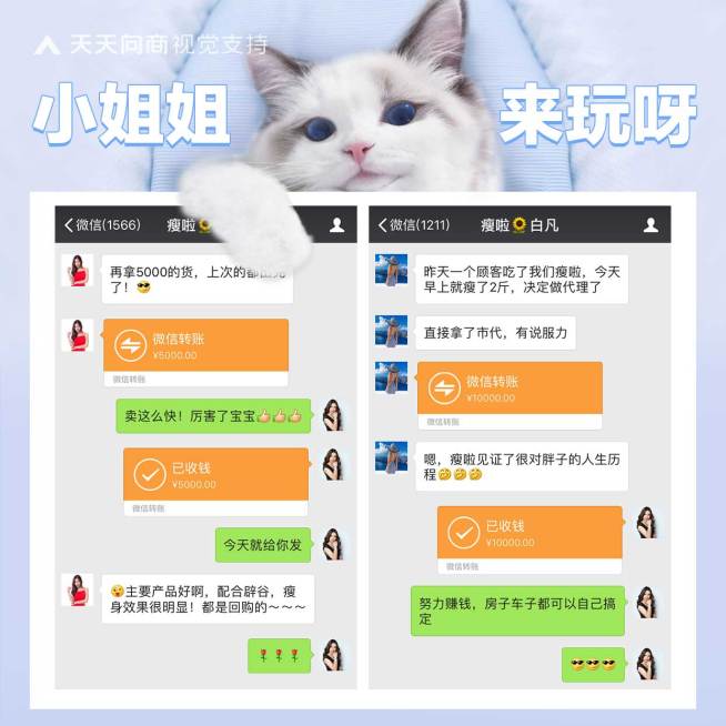 萌宠萌猫花式晒单方形海报预览效果