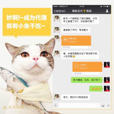 萌宠鱼干猫咪晒单方形海报