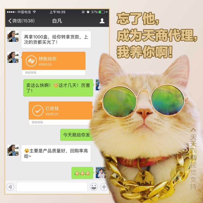 萌宠墨镜猫花式晒单方形海报预览效果