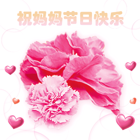 母亲节花朵祝福动态表情包预览效果