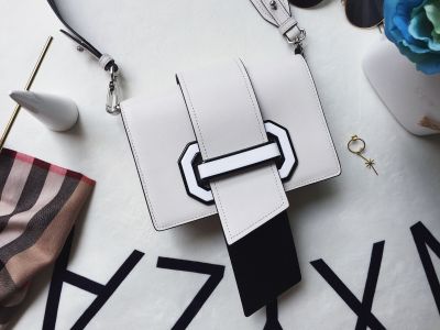 服饰系列plex ribbon 宽肩带长舌包细节特写场景图