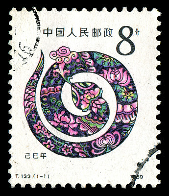 Year of the Snake