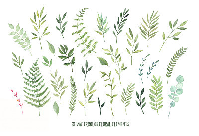 Hand drawn watercolor illustrations. Botanical clipart ( laurels, frames, leaves, flowers, swirls, herbs, branches). Floral Design elements. Perfect for wedding invitations, greeting cards, blogs, posters and more