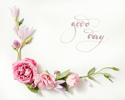 beautiful roses frame