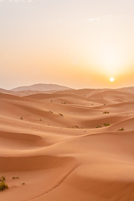 Sunrise in Sahara