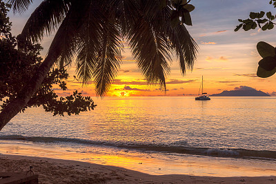 Beach sunset