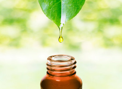 Essential oil dropping from leaf .Aromatherapy.