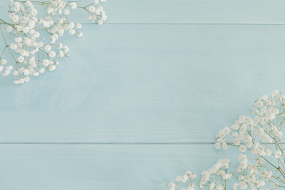 Baby's breath background