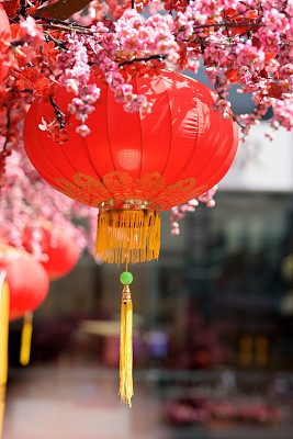Chinese lanterns with cherry blossom