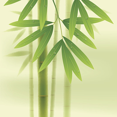 Bamboo