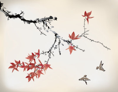Ink style images of maple leaves