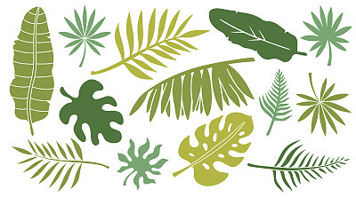 Leaves set. Tropical plants
