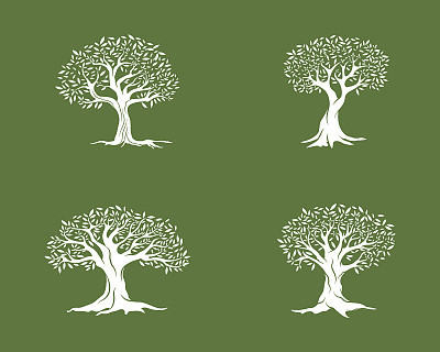 Olive tree vector illustration