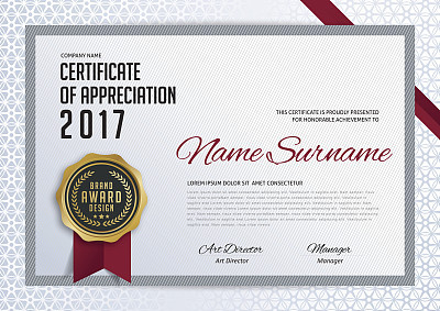 CERTIFICATE 213