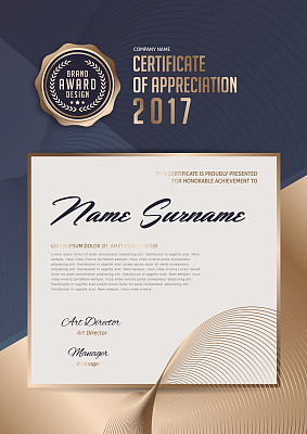CERTIFICATE 213