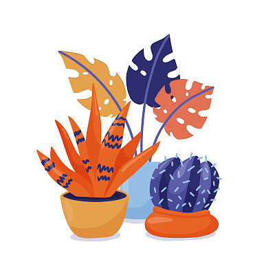 group of houseplants - potted monstera and cacti
