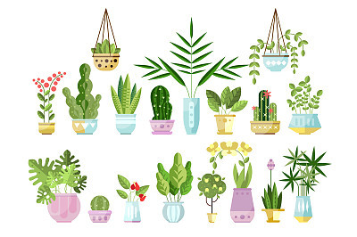 set of flat style colorful houseplants in pots