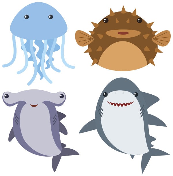 Sea animals on white background