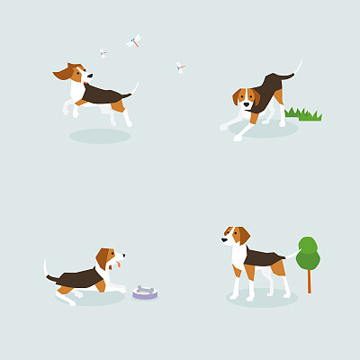 Animal icons collection vector illustration 007