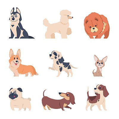 Cartoon dogs. Retriever labrador husky puppies, flat happy pets set, isolated home animals on white background. Vector dog