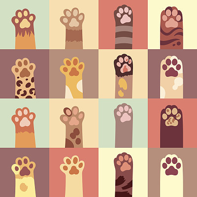 Cats paw vector flat icon set