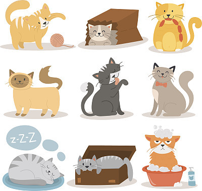 Cute cats character different pose vector set