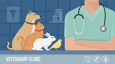 Vet clinic banner