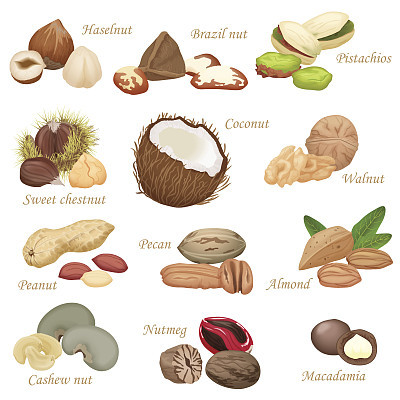 Various kinds of color flat realistic Nuts and seeds icon collection.