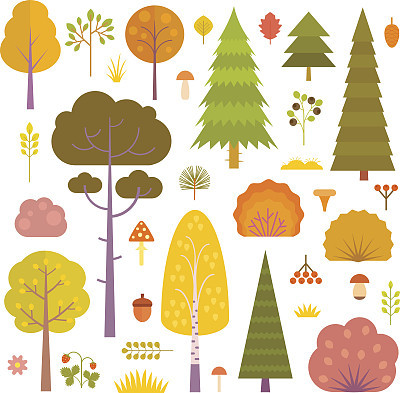 Autumn forest plants