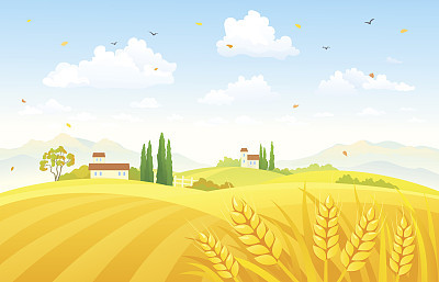 Autumn fields
