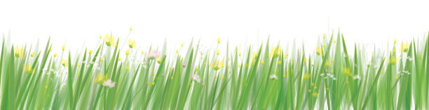Vector grass and flowers nature border.