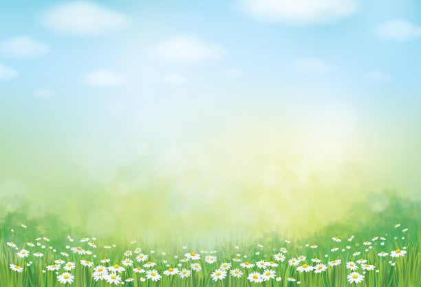 Vector summer nature  background.