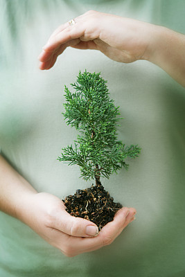 Sheltered Growth