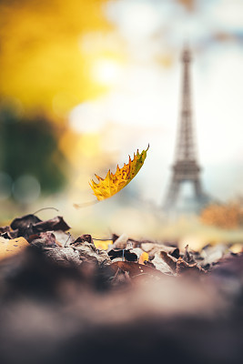 Autumn In Paris