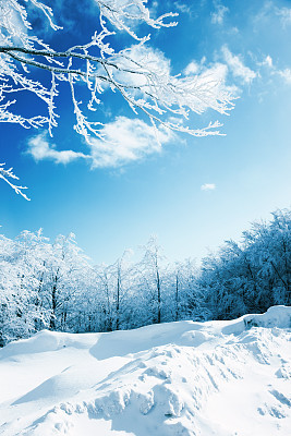 Winter nature
