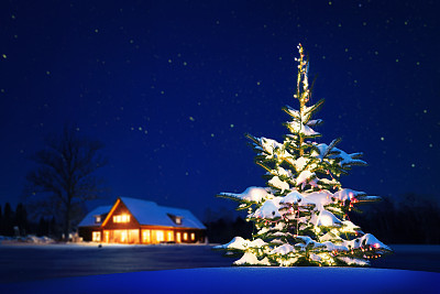 Home at christmas