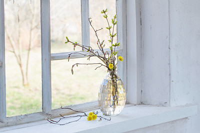 spring branches in vase  on windowsill